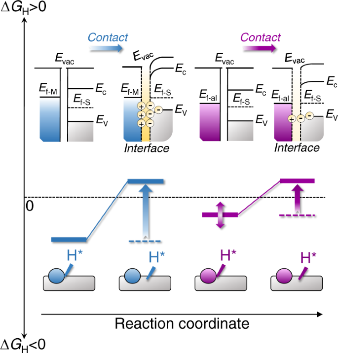 A Fundamental Viewpoint On The Hydrogen Spillover Phenomenon Of Electrocatalytic Hydrogen Evolution Nature Communications