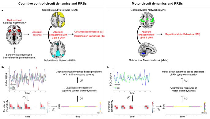 Fig. 1: Overall approach to determine the temporal dynamics of cognitive control and motor circuits and its relationship with Restricted and Repetitive Behaviors (RRBs).