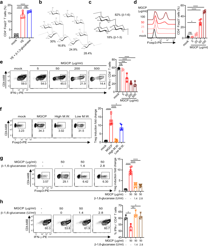 Structural Specificities Of Cell Surface B Glucan Polysaccharides Determine Commensal Yeast Mediated Immuno Modulatory Activities Nature Communications