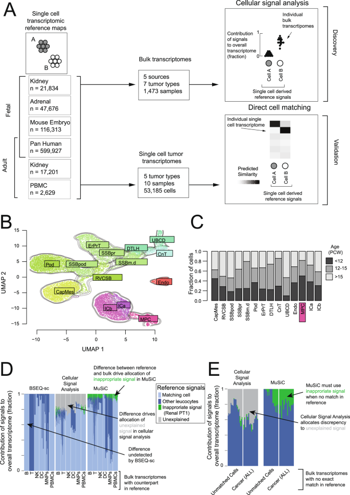 Single Cell Derived Mrna Signals Across Human Kidney Tumors Nature Communications