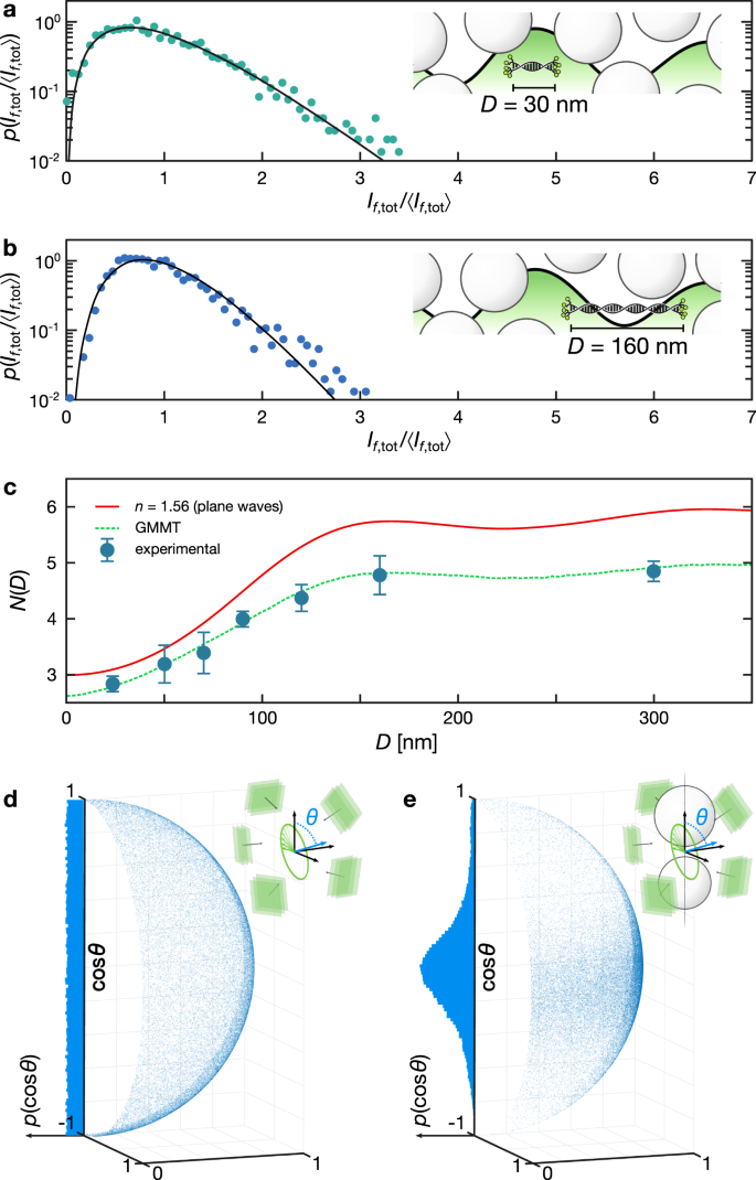 Fig. 3: Dependence of the probability density function on nanoruler size: turbid medium.