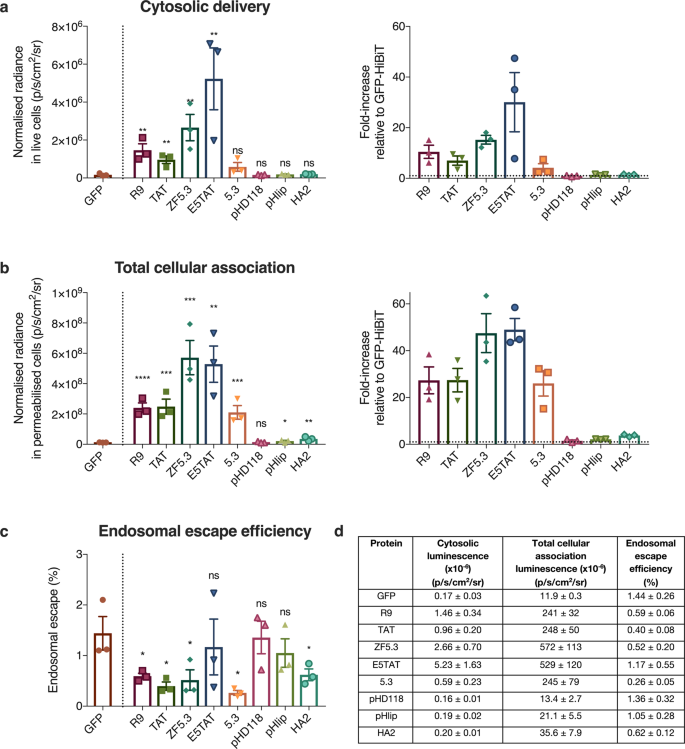 Unravelling Cytosolic Delivery Of Cell Penetrating Peptides With A Quantitative Endosomal Escape Assay Nature Communications Unravelling Cytosolic Delivery Of Cell Penetrating Peptides With A Quantitative Endosomal Escape Assay Nature Communications