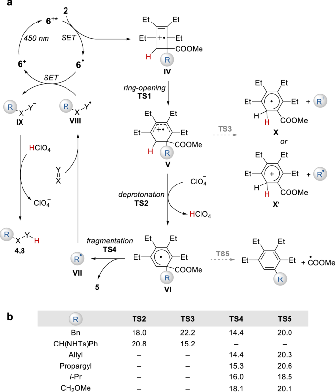 Bicyclo[2.2.0]hexene derivatives a proaromatic platform for group transfer chemical Nature Communications