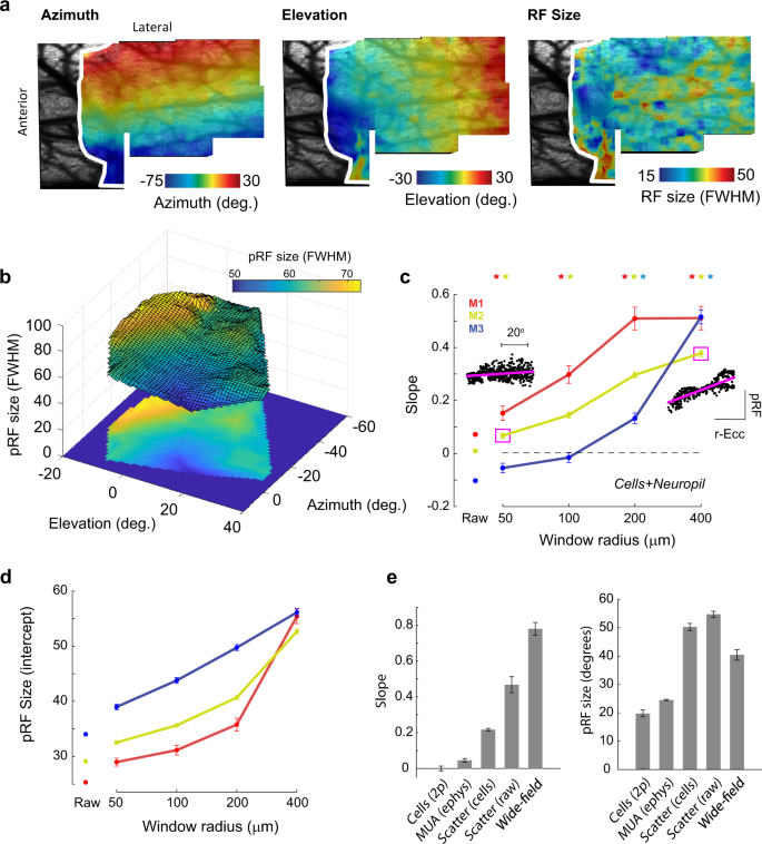 Fig. 5: pRFs generated from raw two-photon images show stronger scattering.
