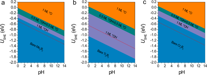 Fig. 5: Surface states of MBenes under electrochemical conditions.