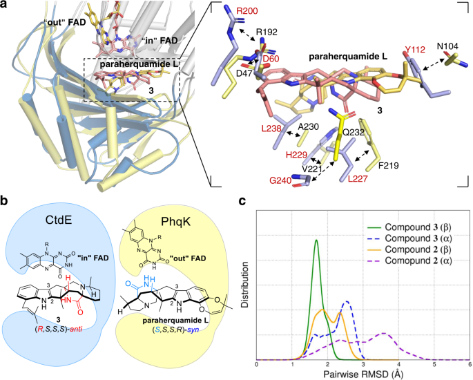 Structural basis of the stereoselective formation of the spirooxindole ring  in the biosynthesis of citrinadins | Nature Communications