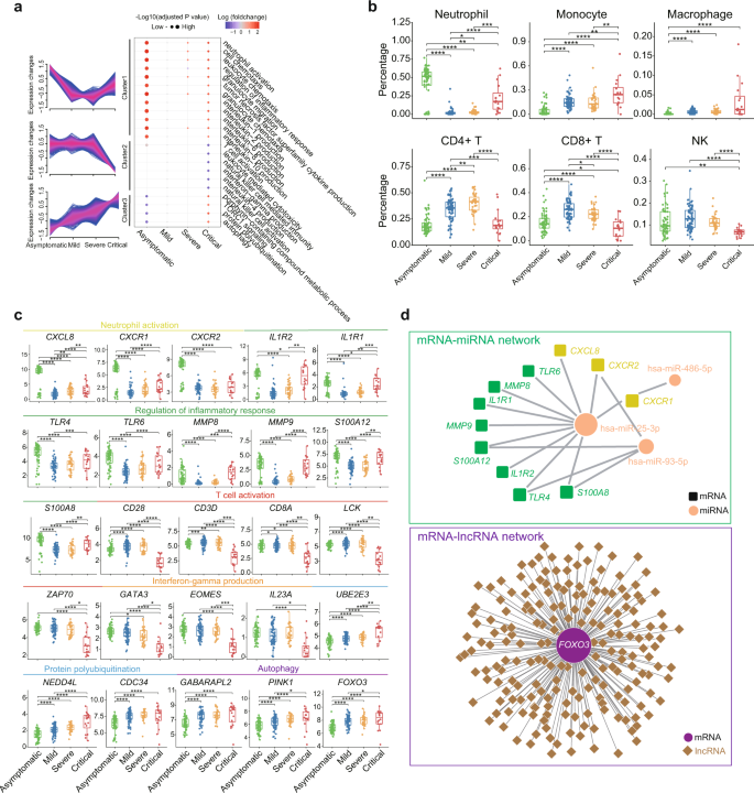 Fig. 2: Transcriptomic hallmarks of COVID-19.