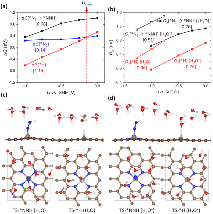 Understanding Potential Dependent Competition Between Electrocatalytic Dinitrogen And Proton Reduction Reactions Nature Communications