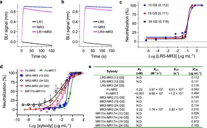 A Synthetic Nanobody Targeting Rbd Protects Hamsters From Sars Cov 2 Infection Nature Communications