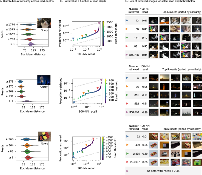Fig. 3: Experimental results for three different query images.