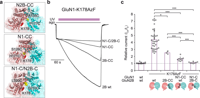 The GluN1, GluN2A, and GluN2B pre-M1 linker is intolerant to genetic