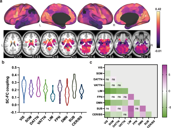 Fig. 2: Regional whole-brain SC–FC coupling varies spatially across the brain.