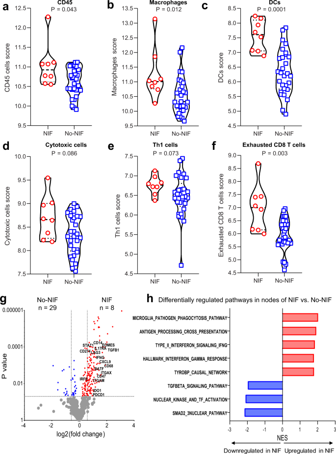Fig. 4: Composition of nodal immune infiltrates of NIF/non-caseating granulomas and No-NIF NEOSTAR patients.