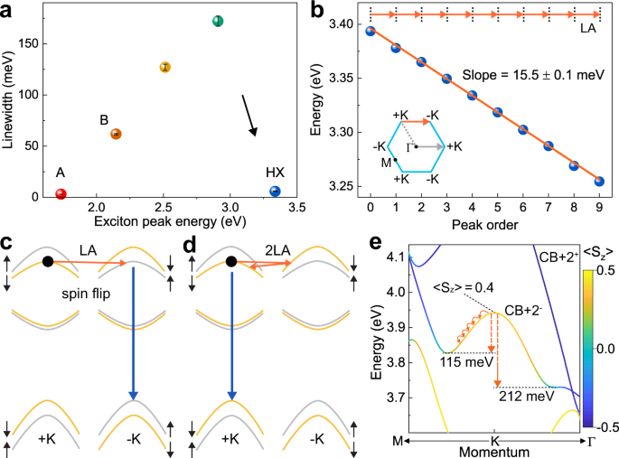 Fig. 2: Excitonic linewidths, equidistant phonon progression, and phonon scattering mechanisms in high-lying exciton PL.
