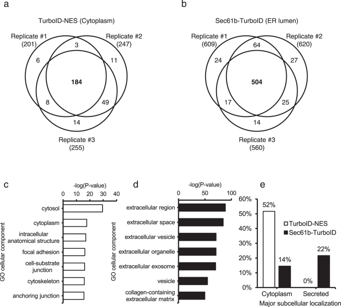 Fig. 2: Proteomic validation of secretory protein labeling using ER-anchored TurboID.