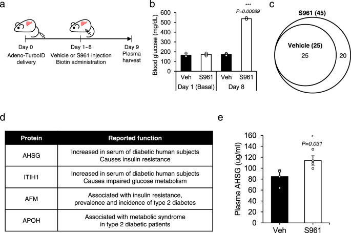 Fig. 4: Application of iSLET to pathophysiological mouse models.