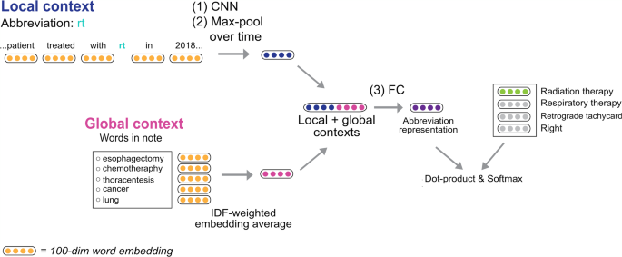 Automatically disambiguating medical acronyms with ontology-aware deep  learning | Nature Communications