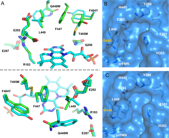 Fig. 2: Comparison of TaFdc and TaFdcV.