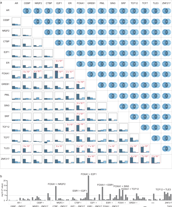 Fig. 2: Association of co-occupancy of two TFs with breast cancer risk in BCAC data.