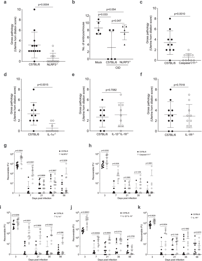 Fig. 5: Genital tract immunopathology is dependent on NLRP3/Caspase 1/IL-1α activation.