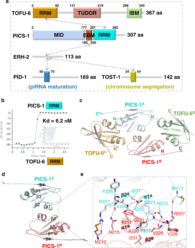 FICS - 1