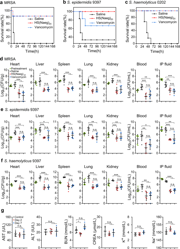 Addressing Mrsa Infection And Antibacterial Resistance With Peptoid Polymers Nature Communications