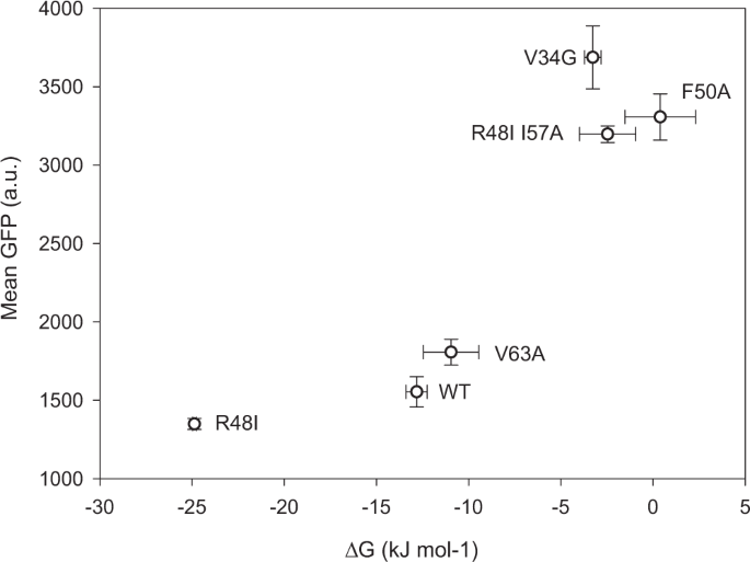 Fig. 4: Correlation between GFP fluorescence and protein stability.