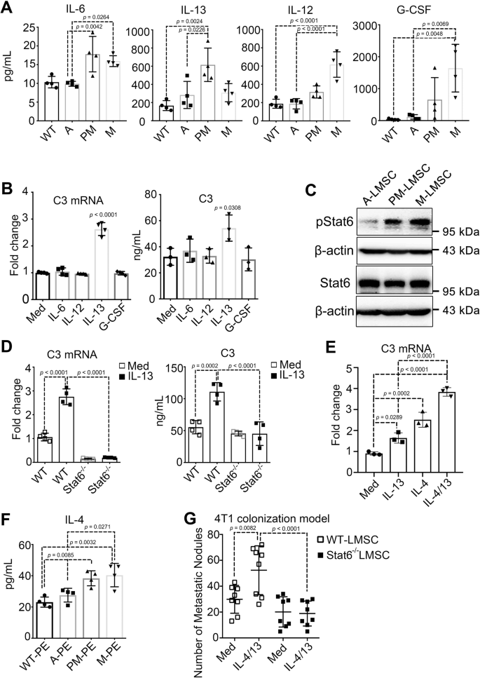 Fig. 5: C3 expression is upregulated by the IL-4/IL-13-STAT6 signaling pathway.