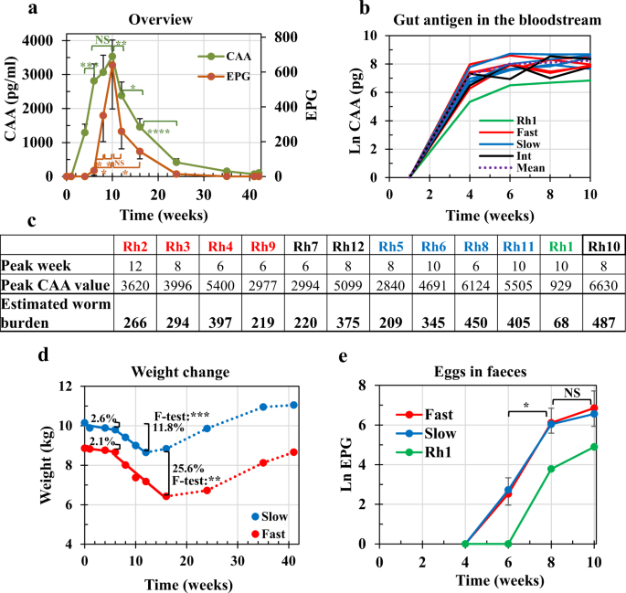 Fig. 2: Overview of the primary infection and analysis of the establishment phase.