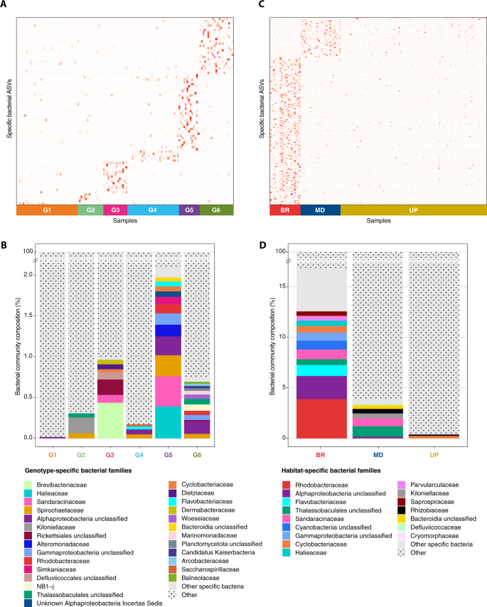 Fig. 4: Bacterial ASVs representative of host genotype and reef habitat.