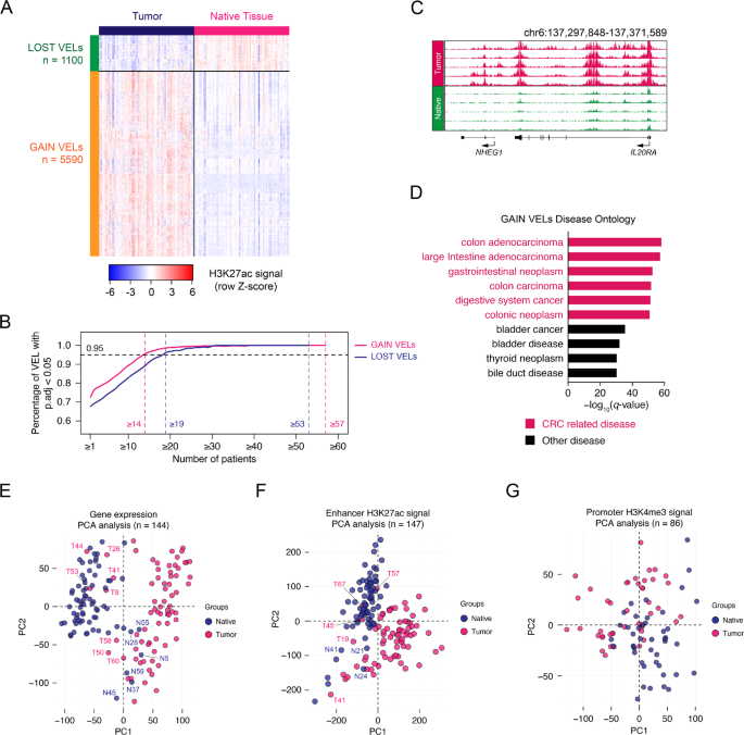 Fig. 2: Identification of variant enhancer loci in CRC.