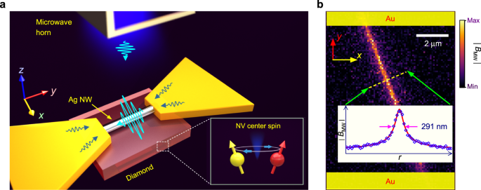 Fig. 1: The principle of localizing and detecting the microwave field.