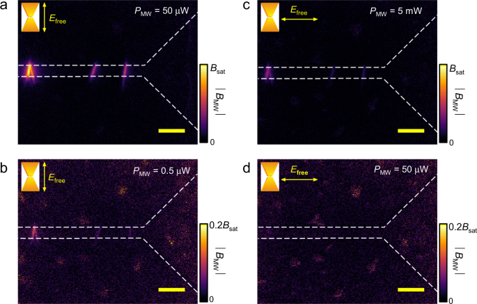 Fig. 4: The localized microwave field distribution is changed with the polarization of the free-space microwave.