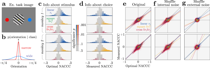 Fig. 6: Nonlinear information and choice correlations in a variance discrimination task, for neural data from two monkeys.
