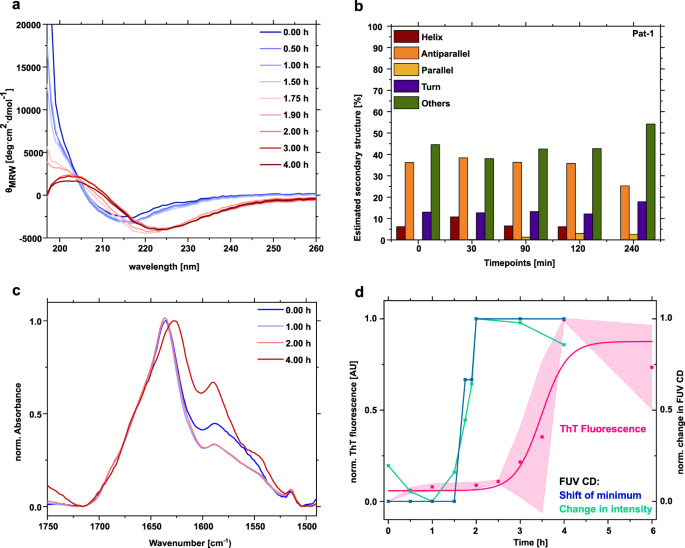 Fig. 3: Secondary structure changes during oligomer formation monitored by FUV CD-and FTIR spectroscopy.