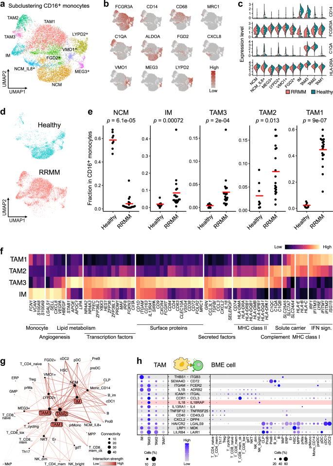 Subclone-specific microenvironmental impact and drug response in refractory  multiple myeloma revealed by single‐cell transcriptomics | Nature  Communications