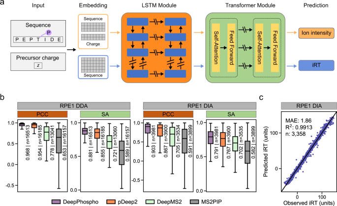 Fig. 1: Model architecture and performance of DeepPhospho.