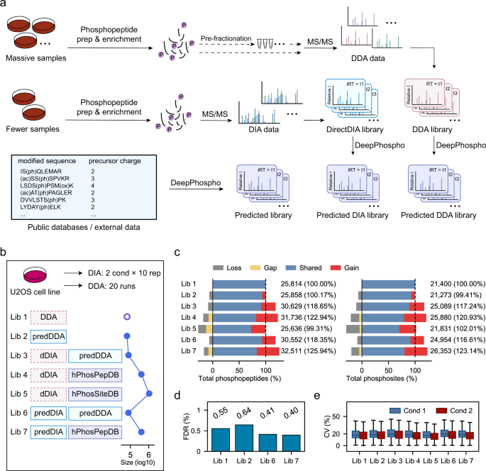 Fig. 3: Generation of DeepPhospho predicted libraries for DIA phosphoproteomics data mining.