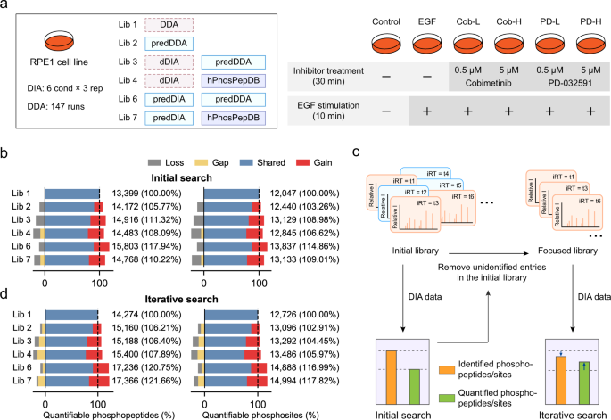 Fig. 4: DIA data analysis with DeepPhospho predicted libraries in a phosphosignaling study.