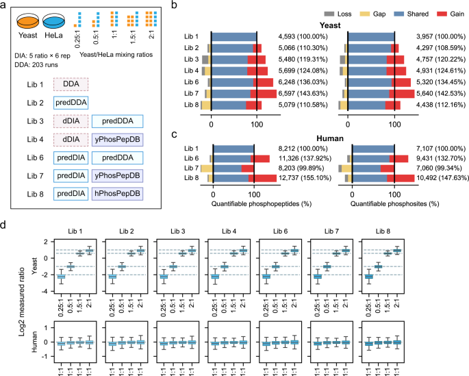 Fig. 6: Accurate quantification of the phosphoproteome in a two-proteome model.