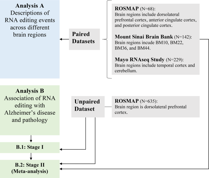 Fig. 1: Flow chart of our analyses.