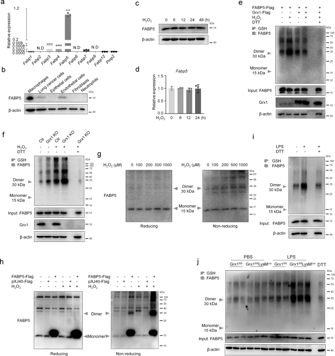 https://media.springernature.com/lw685/springer-static/image/art%3A10.1038%2Fs41467-021-27428-9/MediaObjects/41467_2021_27428_Fig4_HTML.png