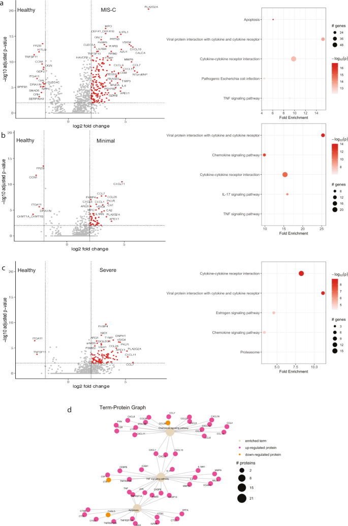 Fig. 2: Differentially expressed proteins and ranked pathway analysis for each disease state compared to healthy controls.