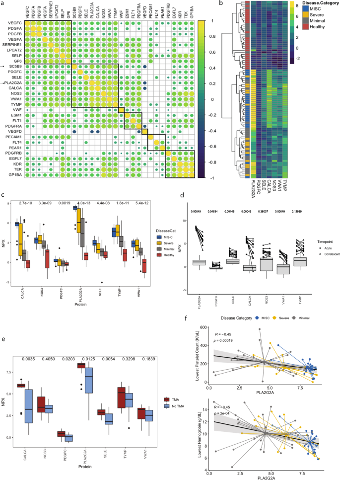 Fig. 5: Evidence of thrombotic microangiopathy and vascular endothelial dysfunction in patients with MIS-C and SARS-CoV-2 infection.