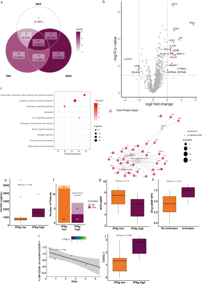 Fig. 6: Clinical heterogeneity among MIS-C patients defined by their IFNγ signature.