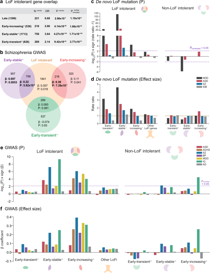 Fig. 6: Neuropsychiatric disorder risk variants localize to LoF intolerant genes in early neurogenic transcriptional programs.