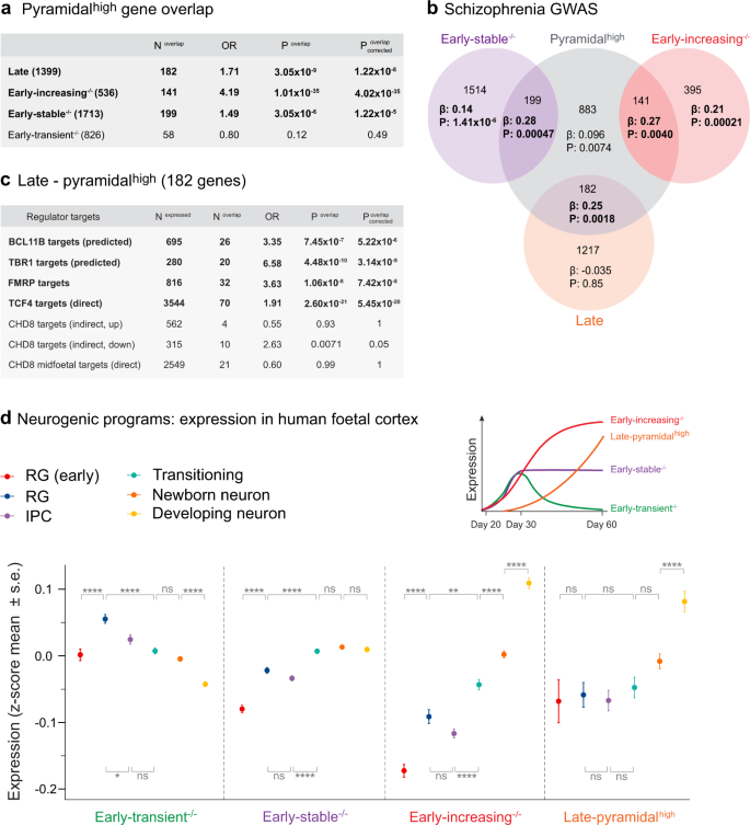 Fig. 7: Expression of early neurogenic programs in neurodevelopmental cell-types from human fetal cortex.