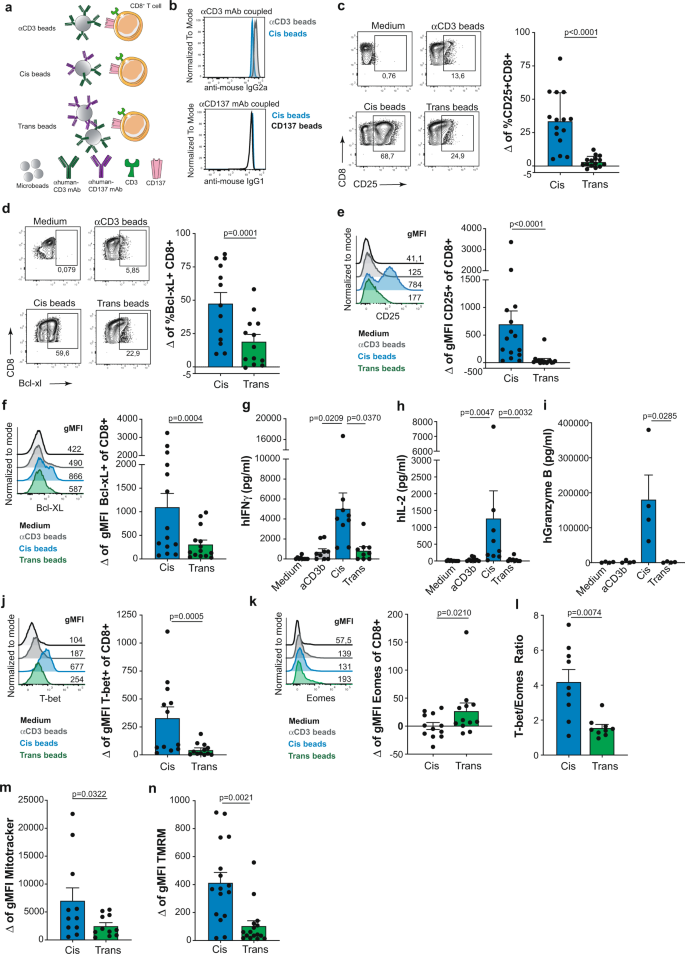 Fig. 1: Comparative functional consequences of CD137-costimulation of human CD8+ T cells provided in cis versus trans.
