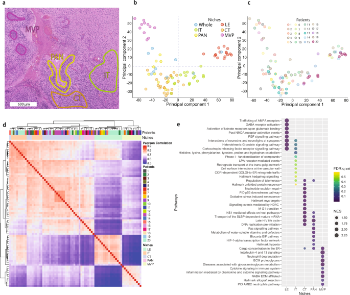 Fig. 2: Gene expression in anatomic features.