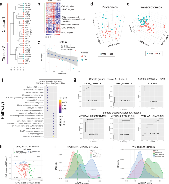 Fig. 4: Single-sample gene signature analysis of highly pure GBM tumour fractions reveal two biologically distinct clusters.